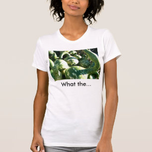 Funny Gourds with Funny Quote T-shirt