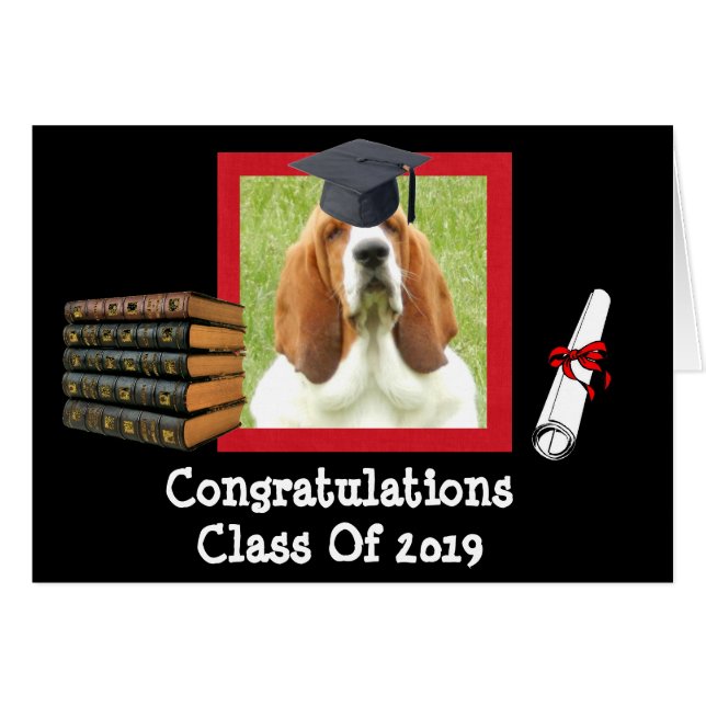 Funny Graduation Card pour 2019 avec Basset Hounds (Devant horizontal)