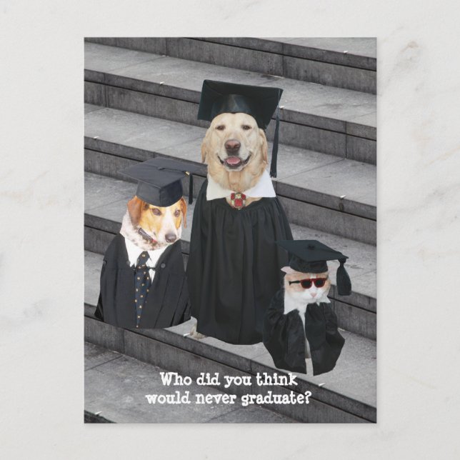 Funny Graduation Customizable Announcement Postcar (Front)