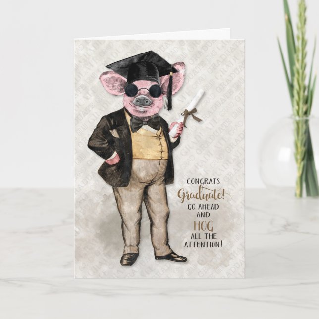Funny Graduation Hipster Hog All the Attention Card (Front)