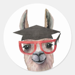 Funny Graduation Llama Sticker