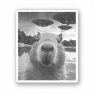 Funny Graphic Capybara Selfie with UFOs Weird