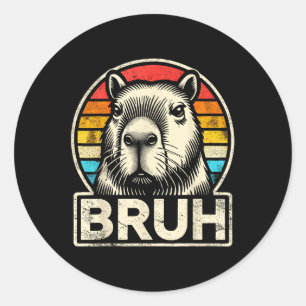 Funny Graphic Meme Capybara Bruh For Boys Girls Me Classic Round Sticker