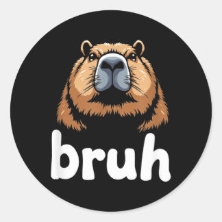 Funny Graphics Classic Round Sticker