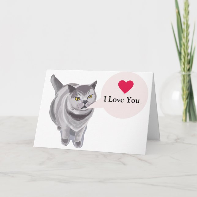 Funny gray fat cat Valentine’s  Card (Front)