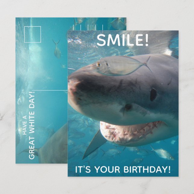Funny Great White Shark Birthday Postcard (Front/Back)