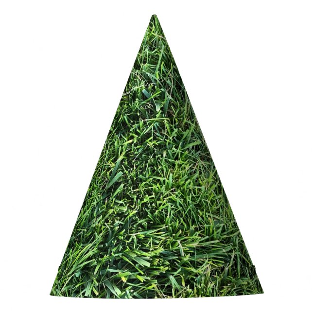 Funny green grass real photo texture pattern fun party hat (Front)