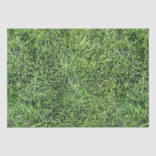 Funny green grass real photo texture pattern fun tissue paper