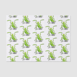 Funny green praying mantis cartoon illustration tissue paper