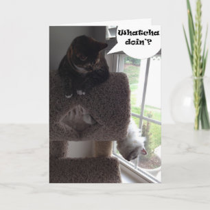 Funny Greeting Card