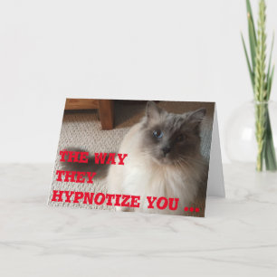 Funny Greeting Card