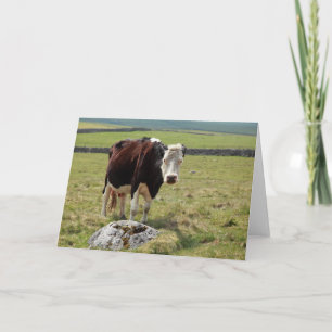 Funny greetings card