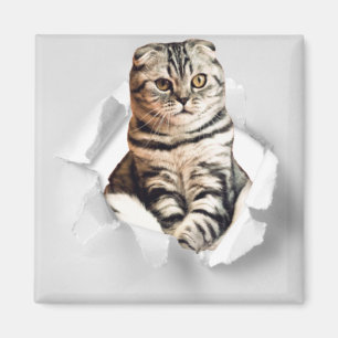 Funny Grey Cat Popping thru Torn Paper Illusion  Magnet