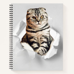 Funny Grey Cat Popping thru Torn Paper Illusion  Notebook