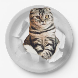 Funny Grey Cat Popping thru Torn Paper Illusion Paper Plate