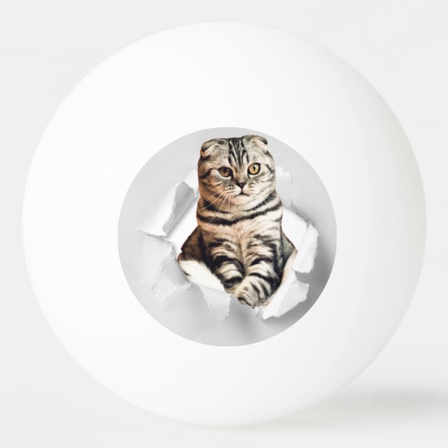 Funny Grey Cat Popping thru Torn Paper Illusion Ping Pong Ball (Front)