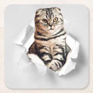 Funny Grey Cat Popping thru Torn Paper Illusion Square Paper Coaster