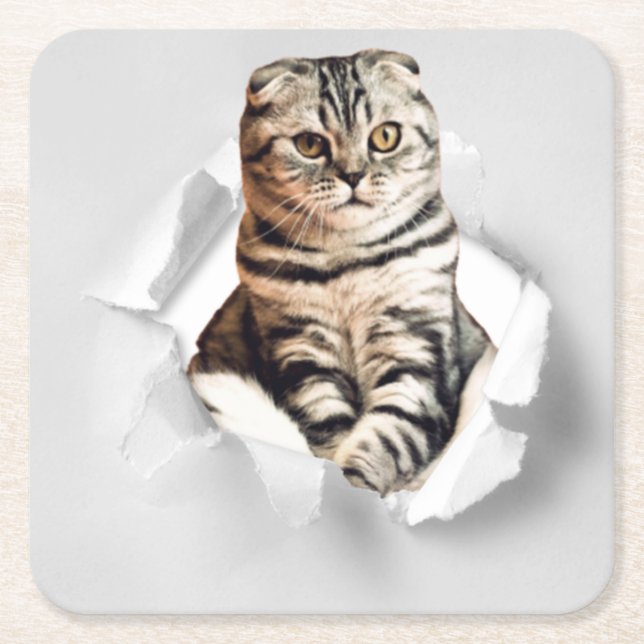 Funny Grey Cat Popping thru Torn Paper Illusion Square Paper Coaster (Front)