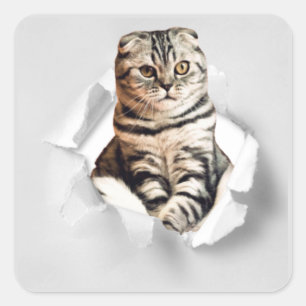 Funny Grey Cat Popping thru Torn Paper Illusion Square Sticker