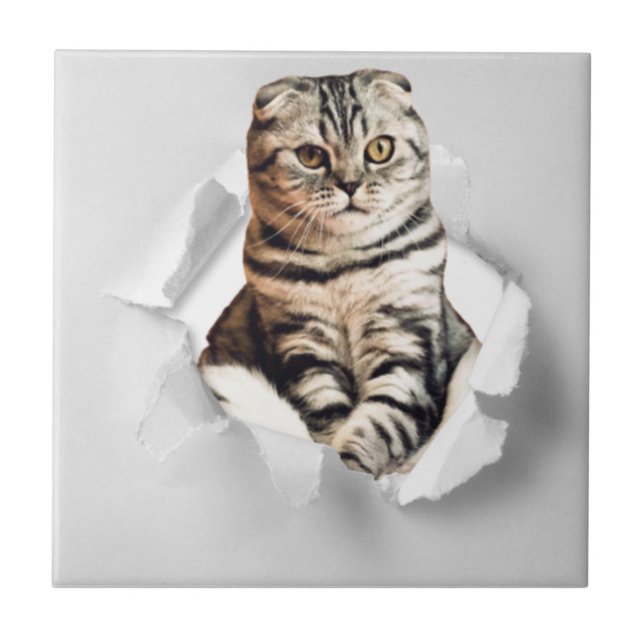 Funny Grey Cat Popping thru Torn Paper Illusion Tile (Front)