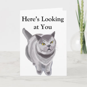 Funny grey fat cat card