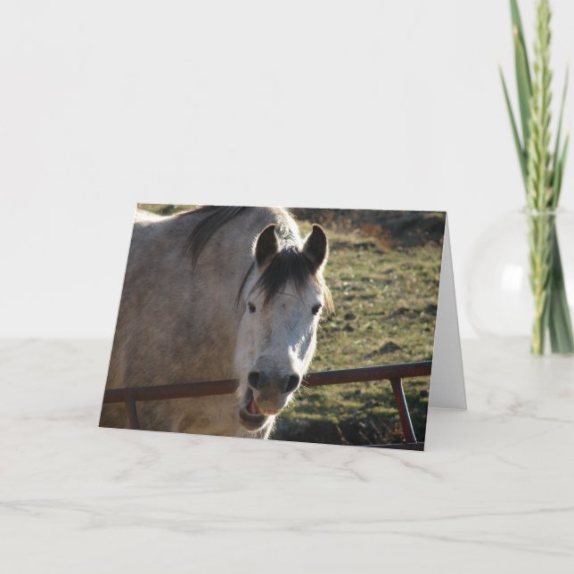 Funny Grey Mare Card (Front)