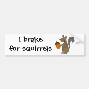 Funny Grey Squirrel with Acorn Bumper Sticker