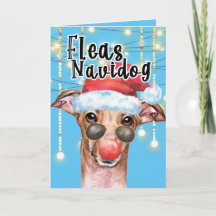 Funny Greyhound Santa dog Christmas fleas navidog