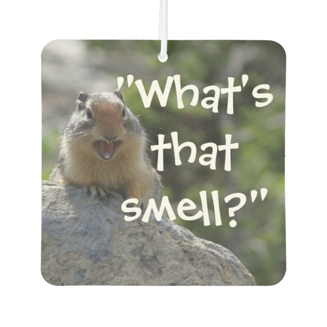Funny Ground Squirrel Car Air Freshener (Front)