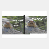 Funny Ground Squirrel Get off my Lawn