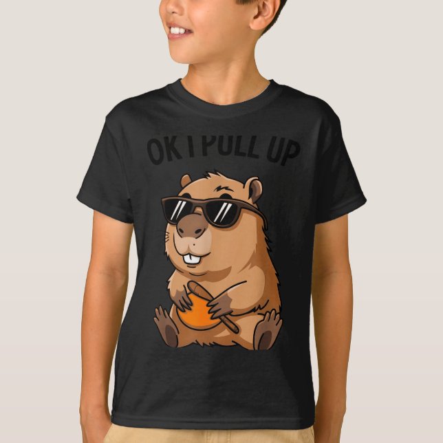 Funny Groundhog Ok I Pull Up Sungles  T-Shirt (Front)