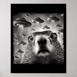 Funny Groundhog Selfie With Alien Ufos Groundhog D Poster