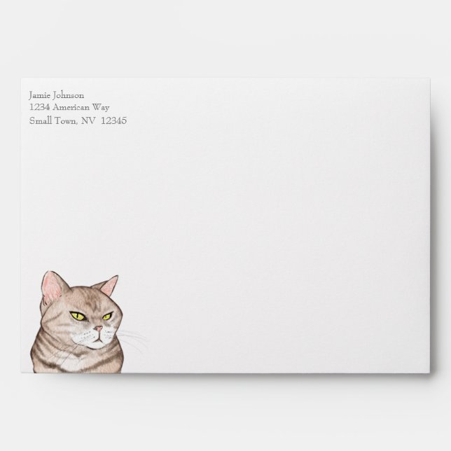 Funny Grumpy Cat Envelope (Front)