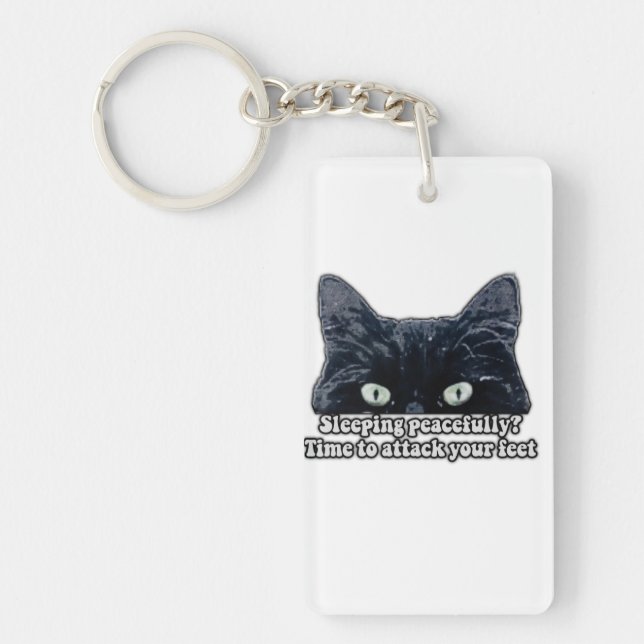 Funny grumpy cat meme for kitten owners &cat lover keychain (Front)