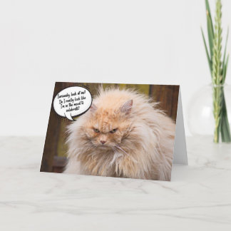 Funny Grumpy Chat Carte de voeux d'anniversaire