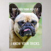 Funny Grumpy French Bulldog I Know Your Tricks