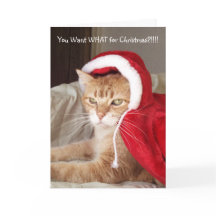 Funny Grumpy Ginger Cat Christmas Card Humour