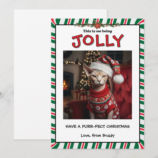 Funny Grumpy Sphynx Cat in Sweater Custom Holiday Card (Front/Back)