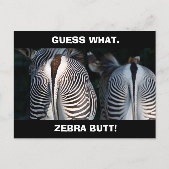 Funny Guess What Zebra Butt Wildlife Postcard (Front)