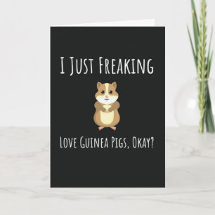 Funny Guinea Pig Cards Humorous Pet Animal