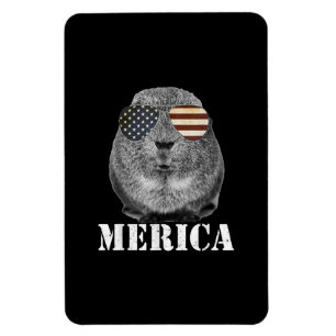 Funny Guinea Pig Merica Patriotic Usa Flag Glasses Magnet