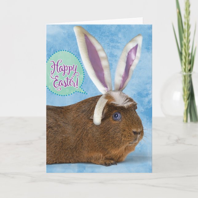 Funny Guinea Pig Photo– Don't Eat Chocolate Eggs Card (Front)