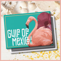 Funny Gulf of Mexico Est. 1550 Historical 