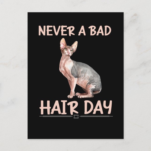 Funny Hairless Cat Sphynx Hair Humour Postcard (Front)