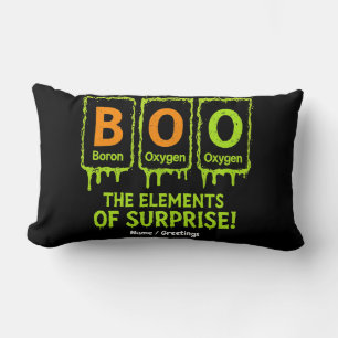 Funny Halloween Boo Elements Science Surprise Gift Lumbar Pillow