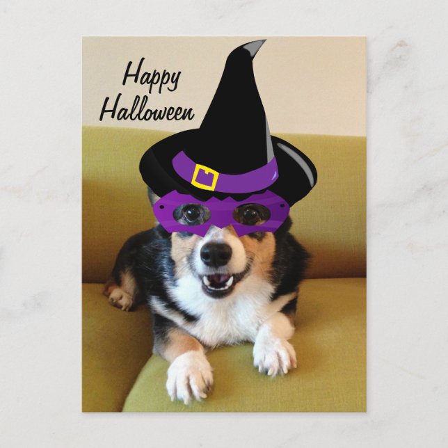 Funny Halloween Corgi in Costume Postcard (Front)