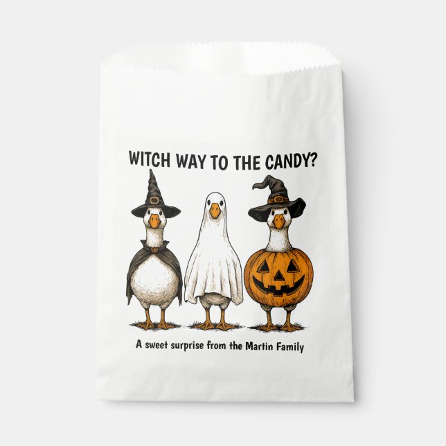 Funny Halloween Witch Goose Favour Bag (Front)