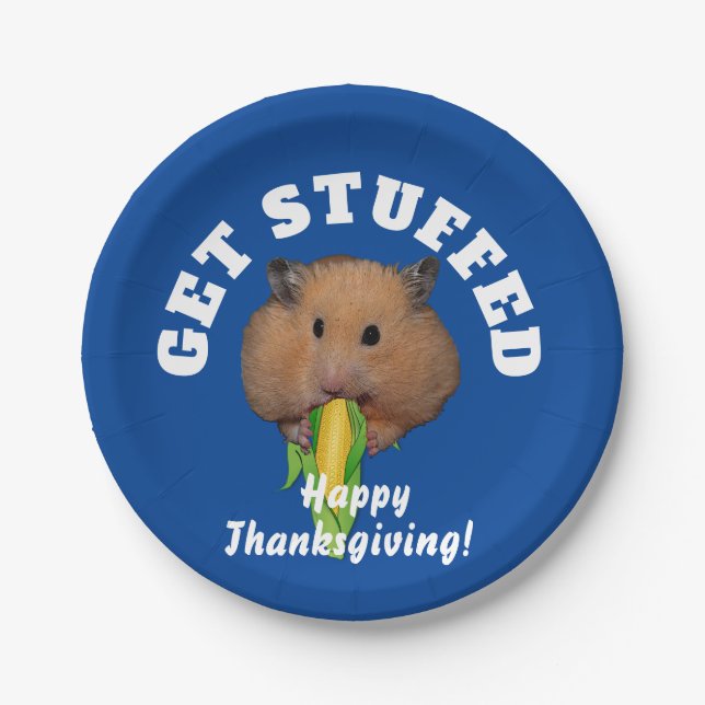 Funny Hamster Thanksgiving   Paper Plate (Front)