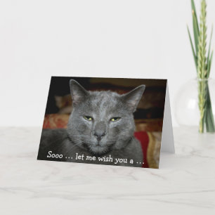 Funny Happy Birthday Card with grey Cat