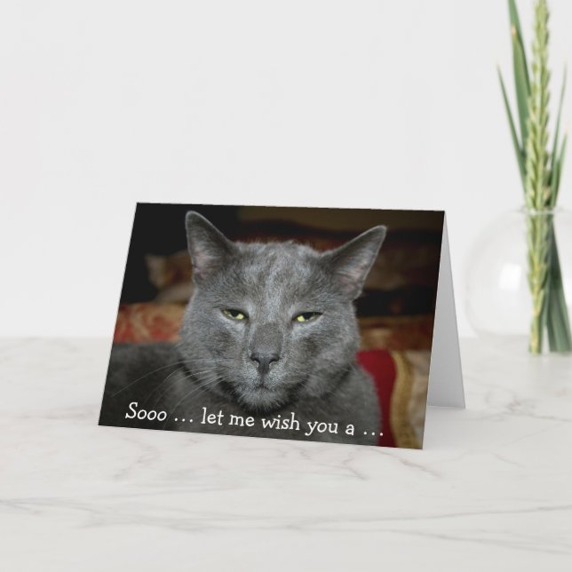 Funny Happy Birthday Card with grey Cat (Front)